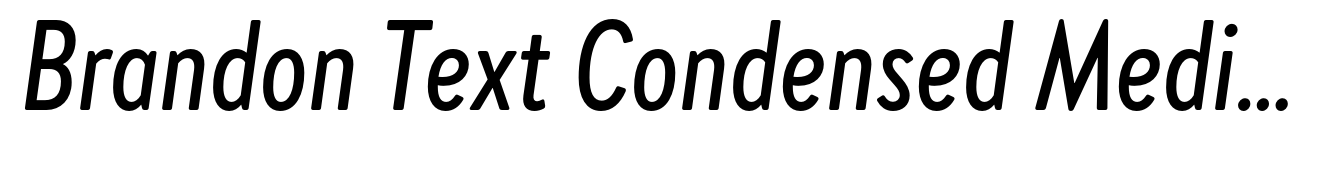 Brandon Text Condensed Medium Italic